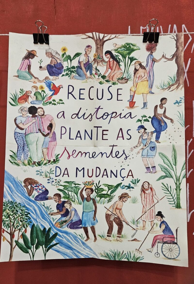 Criptainha 2025, relato e análise da edição de novembrada